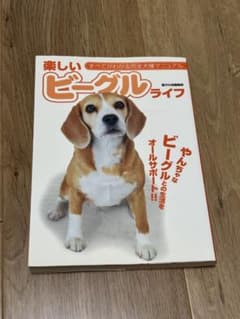 楽しいビーグルライフのサムネイル