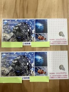 江ノ島水族館チケット　3月末までのサムネイル