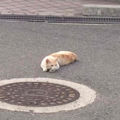 Hiro様返金ページのサムネイル