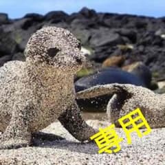 せれんさん専用のサムネイル