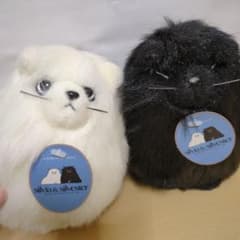 m21453390776_1.jpg?1716635463