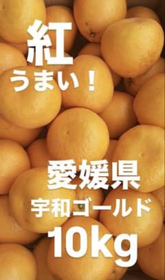 愛媛県産　河内晩柑　宇和ゴールド紅　嵐ゴールド　柑橘　15kg 愛媛県産 河内晩柑 宇和ゴール紅ド 柑橘 10kg - メルカリ