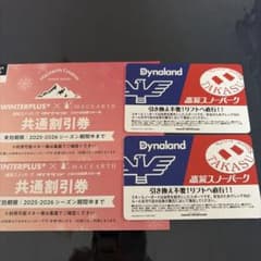 高鷲ダイナリフト券　２枚セットのサムネイル