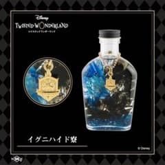 ツイステ POP UP STORE in マルイ イグニハイド ハーバリウム ツイステ POP UP STORE in マルイ イグニハイド ハーバリウム - メルカリ