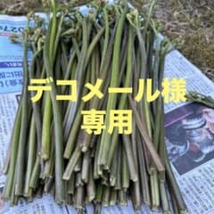 青森県産天然わらび大小混じり900g以上、新鮮さを保つ為切り口にりんごのアク付きのサムネイル
