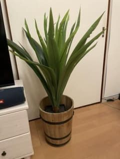 フェイク　グリーン　観葉植物のサムネイル