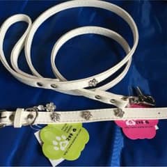 犬グッズのサムネイル