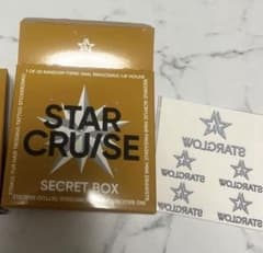 STAR CRUISE SECRET BOX タトゥーシール1箱のサムネイル