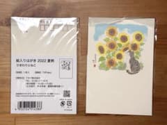 絵入りはがき 夏柄 ひまわりとねこ 6枚セットのサムネイル