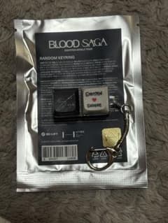 ENHYPEN BLOOD SAGA ランダムキーリング ソヌのサムネイル