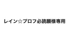 レイン☆プロフ必読願様専用のサムネイル