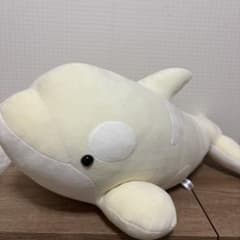 バラ売りOK 名古屋港水族館 シャチくじ 3等 アルビノ 限定】名古屋港水族館 シャチくじ 3等 ホワイト アルビノ - メルカリ