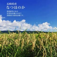 高品質味保証！長崎県産 なつほのか 白米 20キロ - メルカリ
