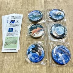 名古屋港水族館 水族館deクルッと寄付 返礼品 缶バッジ リン 名古屋港水族館 水族館deクルッと寄付 返礼品 缶バッジ シャチ リン