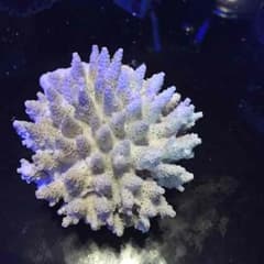 みやびんさん専用ページ★のサムネイル