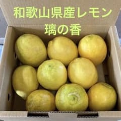 国産レモン　璃の香　りのか　レモン　和歌山県産　農家直送のサムネイル