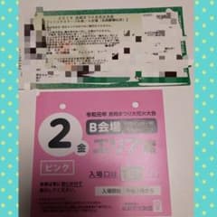 長岡花火のサムネイル