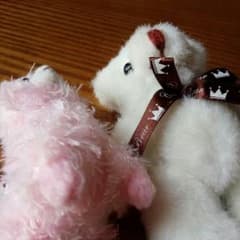 テディベア・alpacaのサムネイル