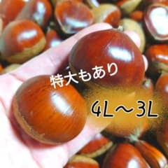 2【熊本県産】生栗 3L〜4L 1kg＋200gのサムネイル