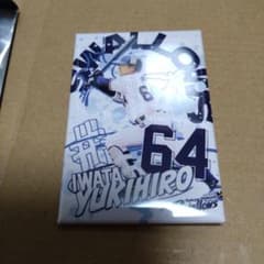 ポスター風缶バッジ ヤクルトスワローズ 5月スワポン 岩田幸宏 64
