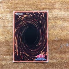 遊戯王 照燿の光霊使い　ライナのサムネイル