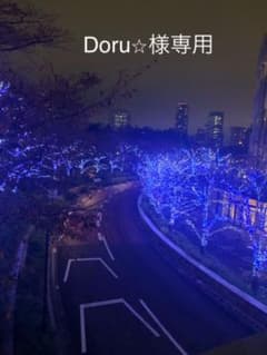Doru様専用ですのサムネイル