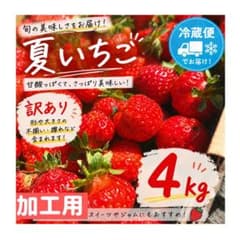 ✨セール中✨青森県産　夏いちご　小粒　4kg 　希少　加工用　訳ありのサムネイル