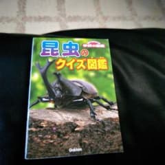 学研の図鑑！昆虫のクイズ図鑑のサムネイル
