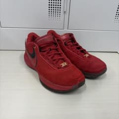 NIKE LEBRON 20のサムネイル