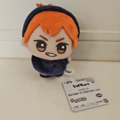 ハイキュー!! ちびぐるみ アニマルポンチョvol.1 日向翔陽