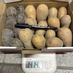 じゃがいも　2種　種芋　サイズ　自然栽培　(8)1414gのサムネイル