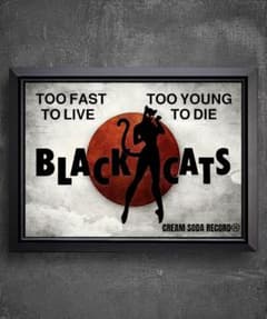 m21563630004_1.jpg?1735062579