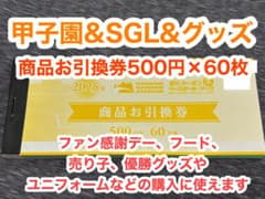 ★甲子園球場★商品お引換券3万円分★ファン感謝デー★阪神★金券のサムネイル