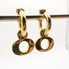 2952 極美品✨Dior ピアス CD ロゴ 希少 刻印 - メルカリ