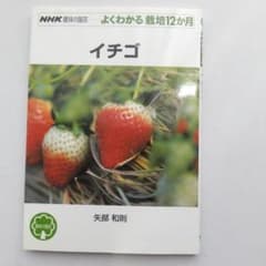 よくわかるイチゴ 栽培 12ヶ月のサムネイル