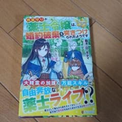 精霊守りの薬士令嬢は、婚約破棄を突きつけられたようですのサムネイル