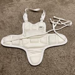 空手用品の胴当てすのサムネイル