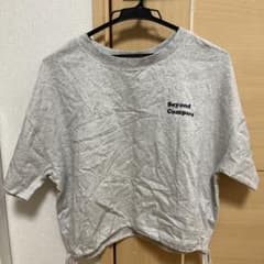 Beyond Compare ロゴ 半袖Tシャツ グレーのサムネイル