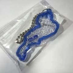 滋賀レイクス　琵琶湖キーホルダー レイクスチアリーダーズ