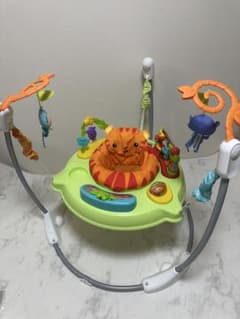 Fisher Price レインフォレスト ジャンパルーのサムネイル