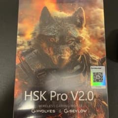 G-Wolves HSK Pro v2.0 8K Wireless Mouse - メルカリ