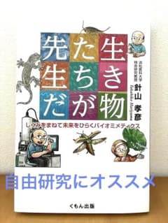 生き物たちが先生だ バイオミメティクス 読書感想文 自由研究 夏休みのサムネイル