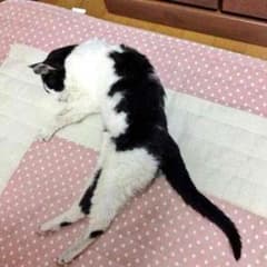 らいち様専用のサムネイル