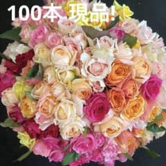 バラ B品 切り花・生花【画像現品】30㎝100本　規格外品・お得品❗️産地直送①のサムネイル