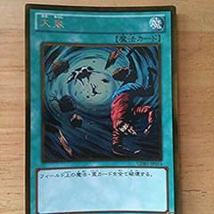 遊戯王 大嵐のサムネイル