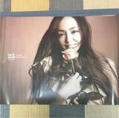 安室奈美恵 ポスター タイムセール１9日0じまでのサムネイル
