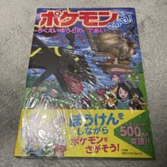 新品　ポケモンをさがせ！ろくえいゆうとのであい