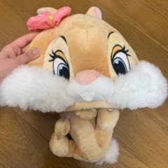 ファンキャップのサムネイル