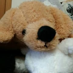 すー様専用♡のサムネイル