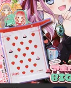 りぼん　付録 2020年3月号　アポロポーチのサムネイル